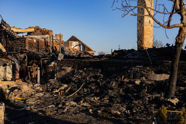 Reliable Board Up Services contractor in Saint James City, FL by Meridian Smoke Damage